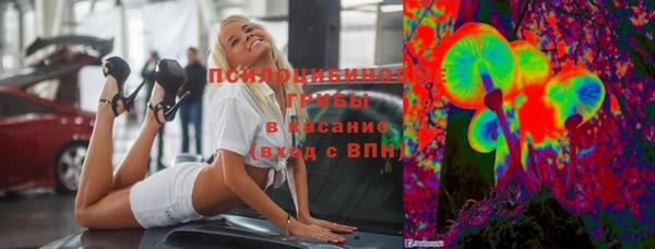 ПСИЛОЦИБИНОВЫЕ ГРИБЫ Абаза