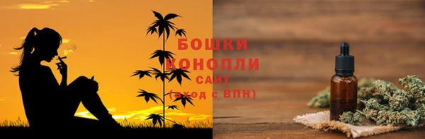шишки Магадан