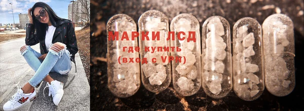 шишки Магадан