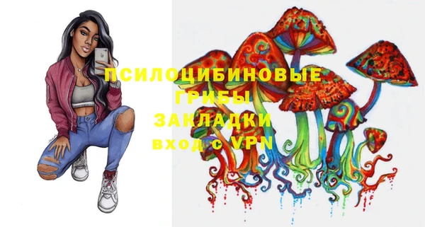 ПСИЛОЦИБИНОВЫЕ ГРИБЫ Абаза