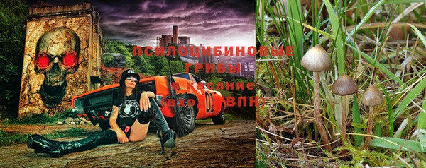 стафф Абдулино